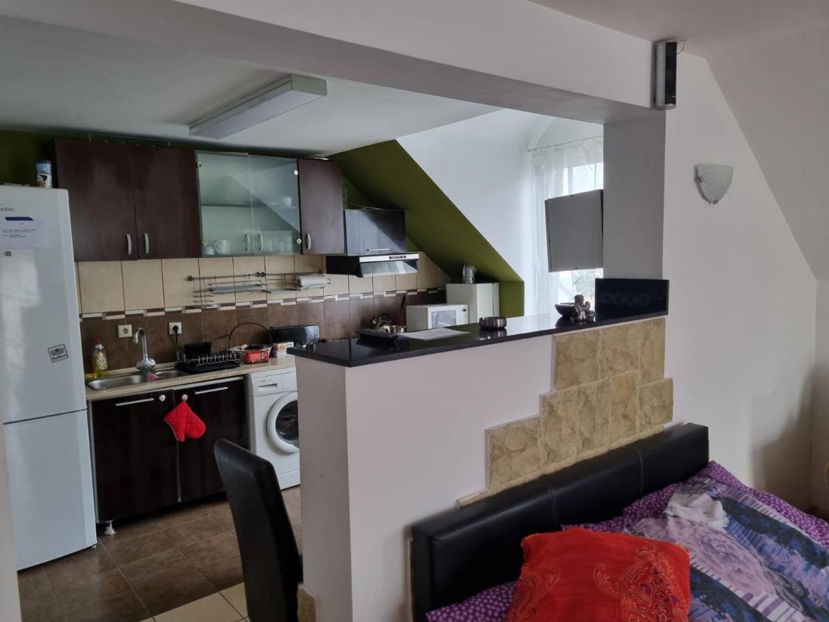 Penthouse Apartament 2 Floors, 2 Bedroom , 2 Bath, 120 Sqm , Inside Yard Parking Cluj-Napoca Esterno foto